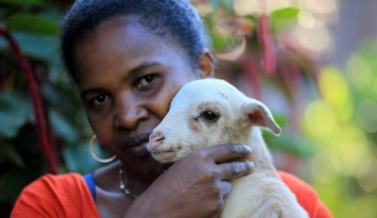 ferme à nosy be