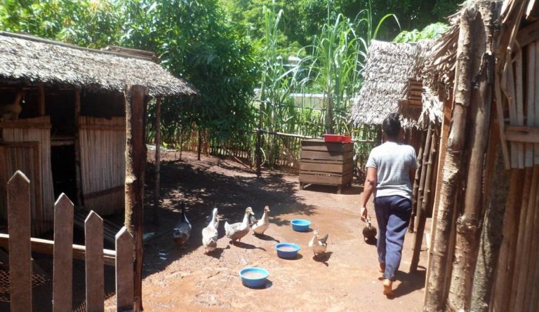 ferme à nosy be